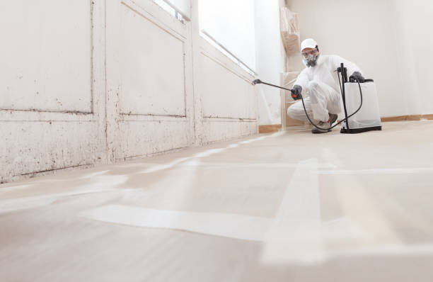 24/7 Emergency Crawl Space Mold Remediation experts in Yorktown, VA